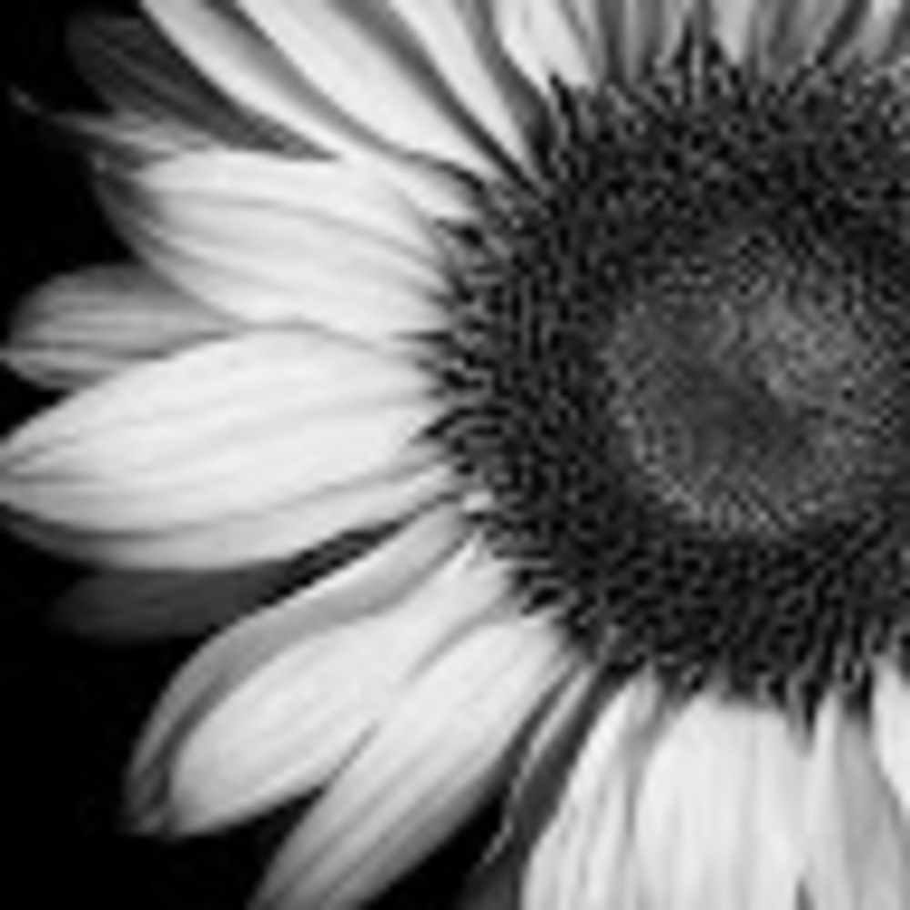 Meet your Posher, Sarina